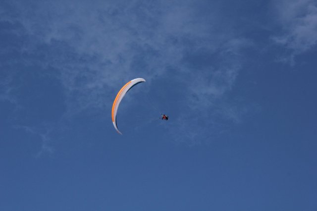 IMG_3356
