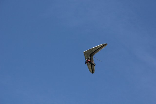 IMG_3475
