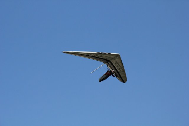 IMG_3481