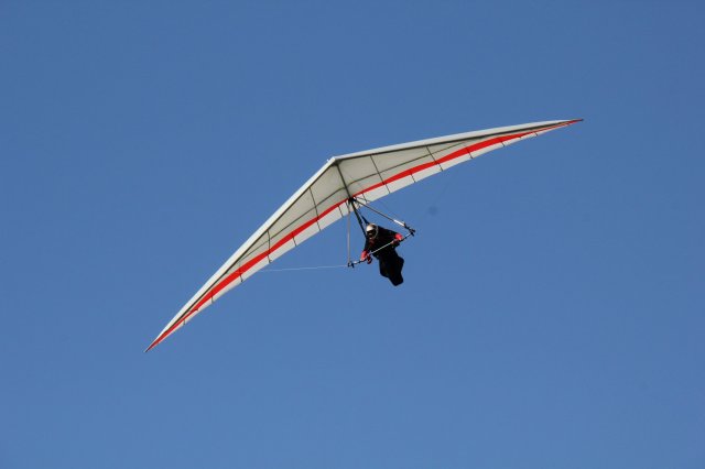 IMG_3557