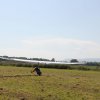 IMG_2995