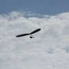 IMG_3081