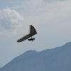 IMG_3083