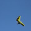 IMG_3120