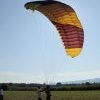 IMG_3446